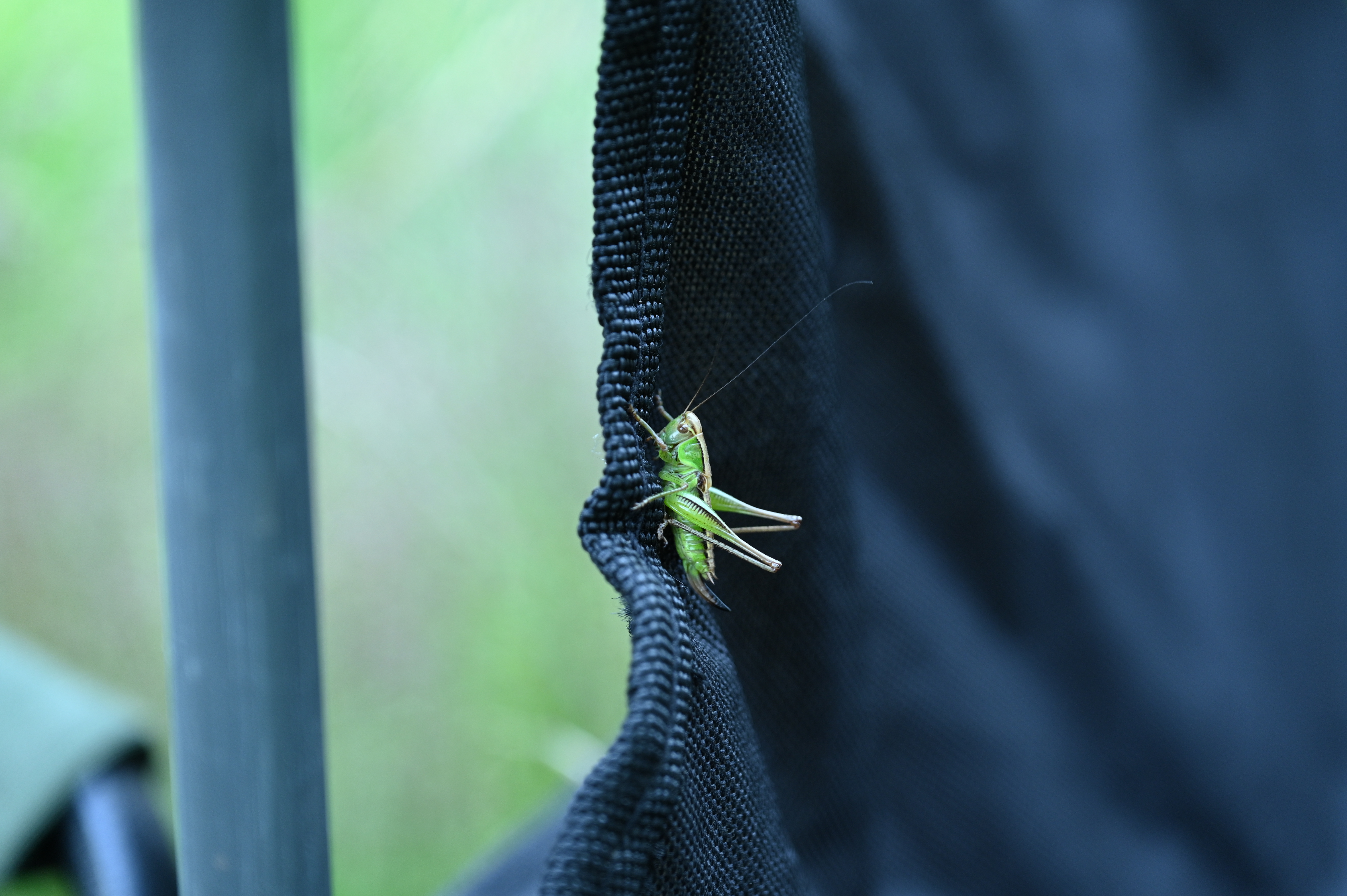 2025/07/09-14 - trip/DSC_0035.JPG